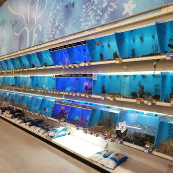 PetSmart - Fish - Pet Training Near Me - Buckeye, Arizona PetSmart - Fish - Pet Training Near Me - Buckeye, Arizona