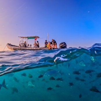 Captain Max Boat Tours - Boat Tours Near Me - Honolulu, Hawaii