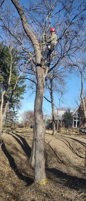 Tree Services - We do anything with tree removal and tree trimming.
We do appointments book now so we can give you a quote Tree Services - We do anything with tree removal and tree trimming.
We do appointments book now so we can give you a quote