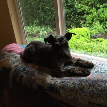 Wine Country Grooming - Pet Groomers Near Me Wine Country Grooming - Pet Groomers Near Me