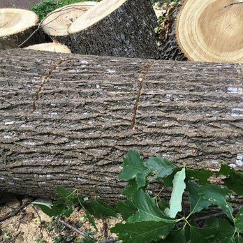 E & J Tree Service - Incomplete cutting job made it impossible for us to move the wood. - Tree Services Near Me