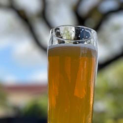 Second Draught - Cold beer
