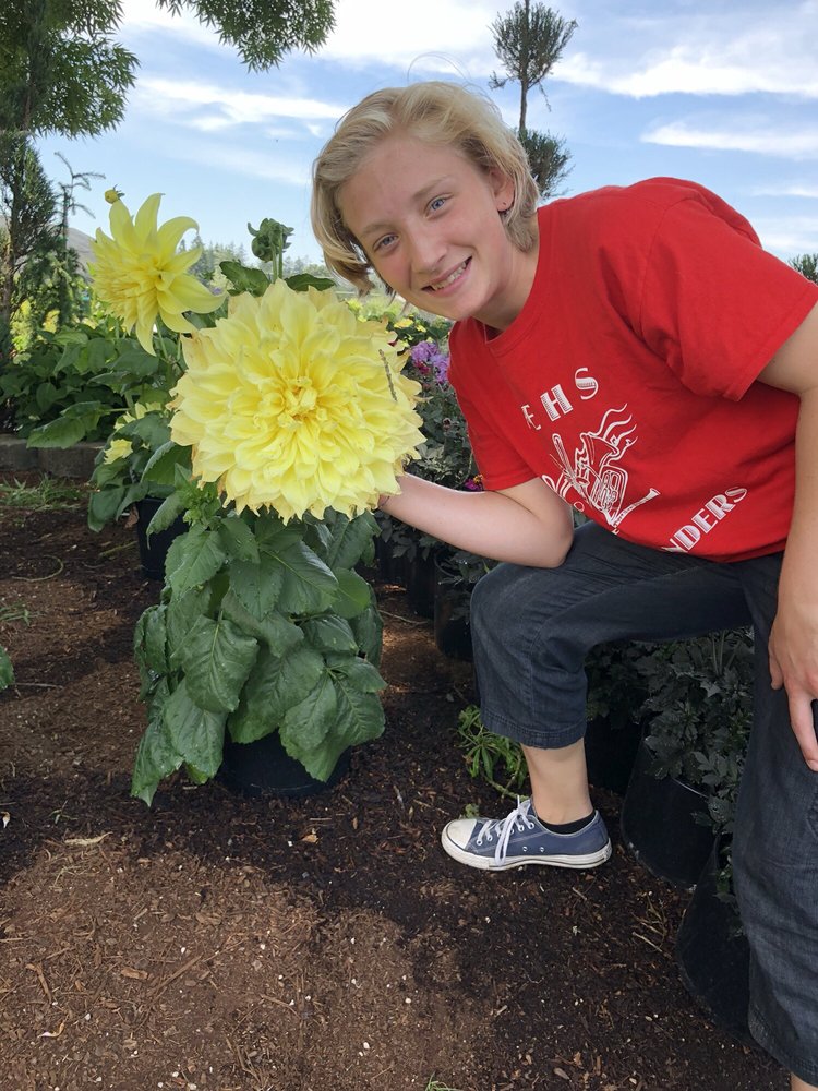 JOHNSON BROTHERS Updated September 2024 25 Reviews 91444 Coburg