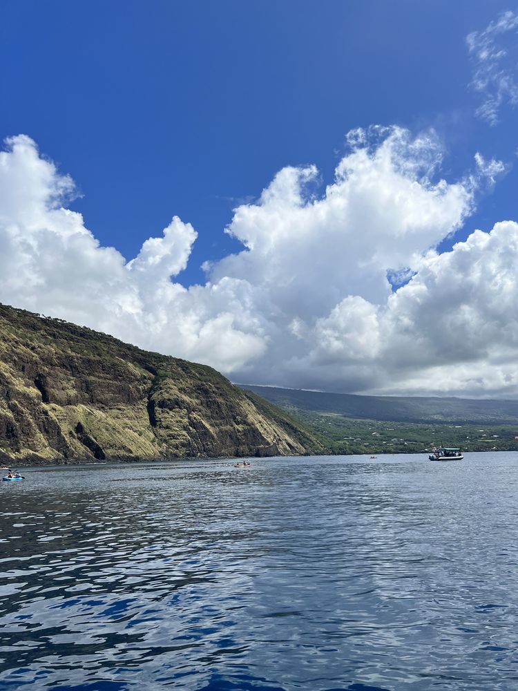 KONA SNORKEL TOURS Updated October 2024 42 Photos & 50 Reviews 74