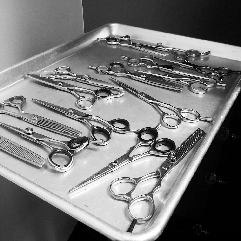 THE SHARPENING SHOP Updated May 2024 18 Photos Cumming,