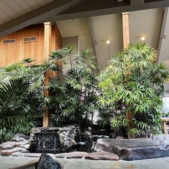 Best Western Plus Island Palms Hotel & Marina - Lobby foliage - San Diego, CA