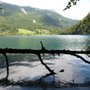 Photo of Hintersteiner See in Scheffau am Wilden Kaiser