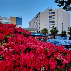 Richmond Hospital - Main entrance