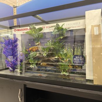 PetSmart - Pet Stores Near Me - Austin, Texas PetSmart - Pet Stores Near Me - Austin, Texas