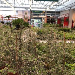 plantagen port 73 plantagen port 73