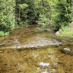 Taylor Pond Campground