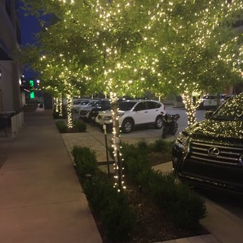 Tricky Fish - Lights on trees - Seafood Near Me - Richardson, Texas Tricky Fish - Lights on trees - Seafood Near Me - Richardson, Texas