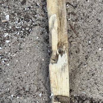 Ergeon - piece of wood the hinge was screwed into - Fences & Gates Near Me - Sacramento, California