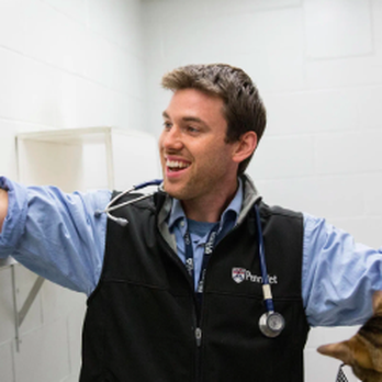 CK9 Veterinary and Dog Training Services - Veterinarians Near Me CK9 Veterinary and Dog Training Services - Veterinarians Near Me
