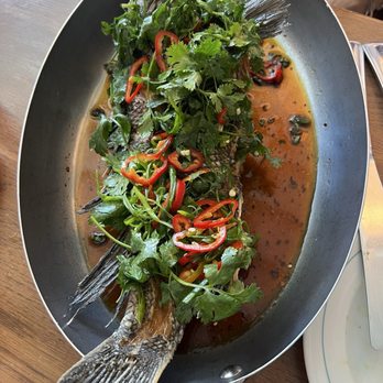 Saltie Girl - Whole fried black bass with ponzu, chili, and cilantro - Seafood Near Me - Boston, Massachusetts Saltie Girl - Whole fried black bass with ponzu, chili, and cilantro - Seafood Near Me - Boston, Massachusetts