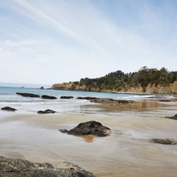 Mar Vista Farm + Cottages - Fish Rock Cove at low tide.
