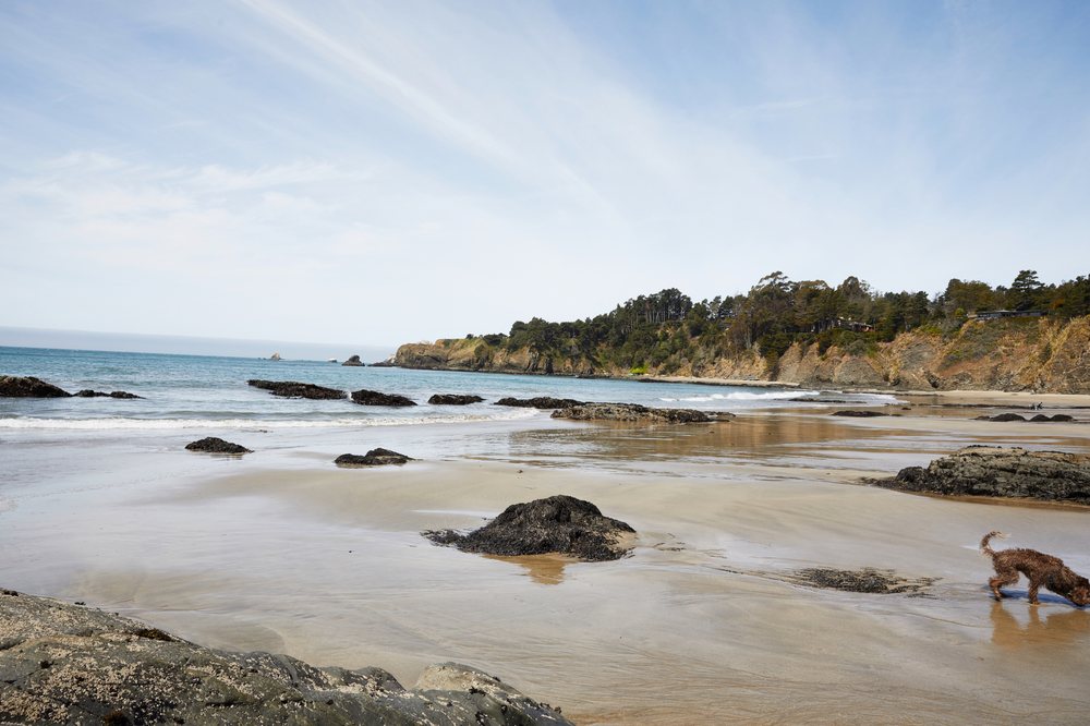 MAR VISTA FARM + COTTAGES Updated September 2024 199 Photos & 83 Reviews 35101 S Hwy 1