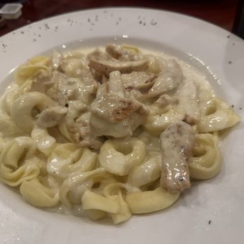 Cafe Italia - Tortellini a la Pana w/Chicken - Italian Near Me - Grapevine, Texas Cafe Italia - Tortellini a la Pana w/Chicken - Italian Near Me - Grapevine, Texas