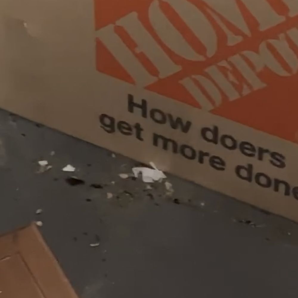 Extra Space Storage - debris from what the rats and mice ate, rat feces and urine - Self Storage Near Me - Chicago, Illinois