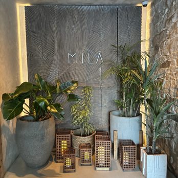 MILA Restaurant - Entrance - Mediterranean Near Me - Miami Beach, Florida MILA Restaurant - Entrance - Mediterranean Near Me - Miami Beach, Florida