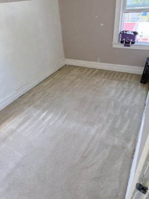 Pure Couch on Yelp