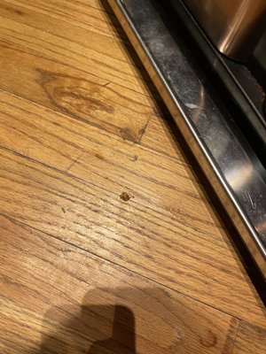 Photo of Cleanzen - Chicago, IL, US. Floor by my garbage can