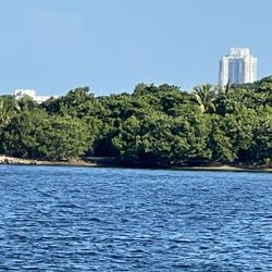 North Bayshore William Lehman Park