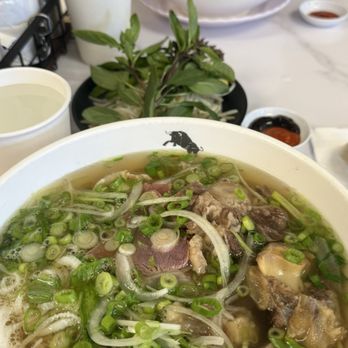 Pho Duoi Bo - Phở Đuôi Bò Đặc Biệt and Phở Tái KOBE... - Vietnamese Near Me - San Jose, California Pho Duoi Bo - Phở Đuôi Bò Đặc Biệt and Phở Tái KOBE... - Vietnamese Near Me - San Jose, California