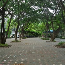 People's Park - This is where the beaches are located