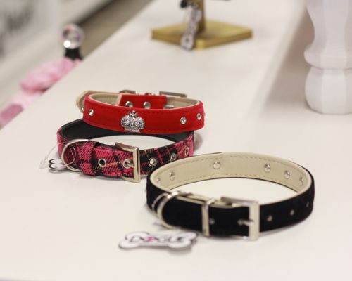 Dogue Grooming & Pet Boutique by null