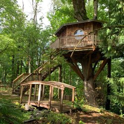 Cedar Springs Alpacas - The treehouse has a room that you can rent. It is beautiful and has the most amazing view as you can see.