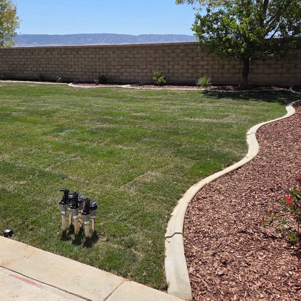 Wilson's Landscaping and Maintenance - Landscaping Near Me Wilson's Landscaping and Maintenance - Landscaping Near Me