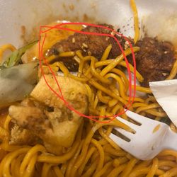 Wings Bomb - Literally a whole hair ball in my food . I'm disgusted. I'm a fan of wings bomb and this hurt real bad . Won't be eating here again