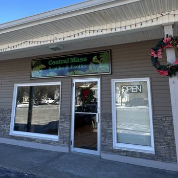 Central Mass Reptiles & Exotics - Reptile Shops Near Me - Sutton, Massachusetts Central Mass Reptiles & Exotics - Reptile Shops Near Me - Sutton, Massachusetts