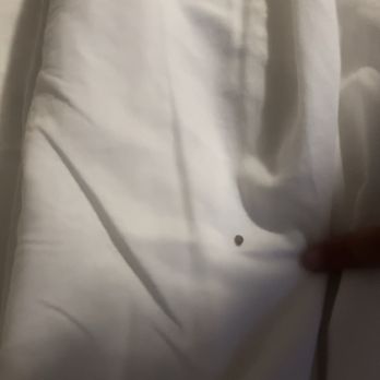 Bahia Resort Hotel - Bed bugs found in room 123, bayfront room that cost is $1,000 a night, manager on shit could not care less - San Diego, CA