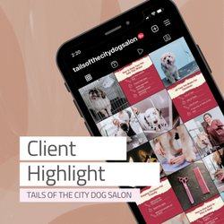 Better Marketing Company - Client Highlight!