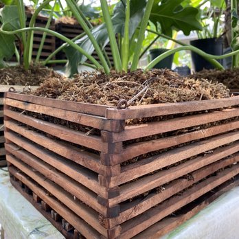 Little Eden Plantscaping - Little Eden builds and sells these cedar pots! - Nurseries & Gardening Near Me - Arvada, Colorado Little Eden Plantscaping - Little Eden builds and sells these cedar pots! - Nurseries & Gardening Near Me - Arvada, Colorado