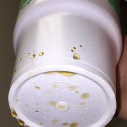 Twice Daily - A cup with liquid sat in my car overnight as leached out soda. Messy business.