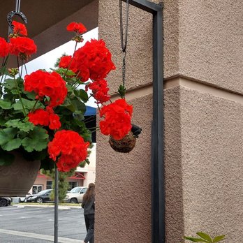 Paris Baguette - Pretty patio - Bakeries Near Me - Fullerton, California Paris Baguette - Pretty patio - Bakeries Near Me - Fullerton, California