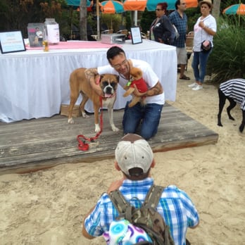 Beach Shack - Doggie pageant - Hotels Near Me - Cape May, New Jersey