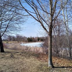 Centrepointe Park - At the start of Spring.
