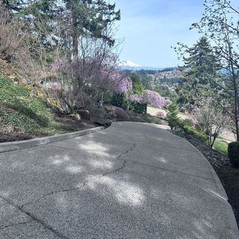 PDX ProWash - Window Washing Near Me