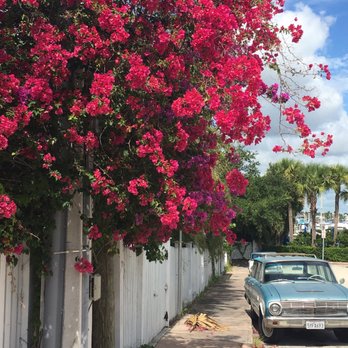 Georgia's Concierge Services - Contact GC today!!! - Personal Assistants Near Me - Vero Beach, Florida Georgia's Concierge Services - Contact GC today!!! - Personal Assistants Near Me - Vero Beach, Florida