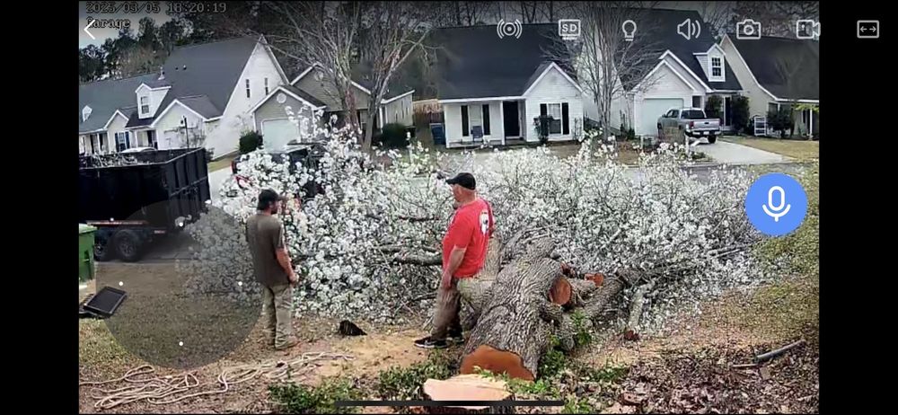 Trees Unlimited - tree service in Hephzibah, GA