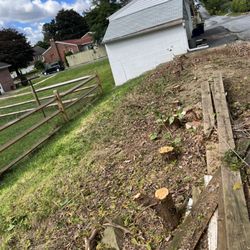 Gorilla Mowing - Junk/Trash/Debris removal
