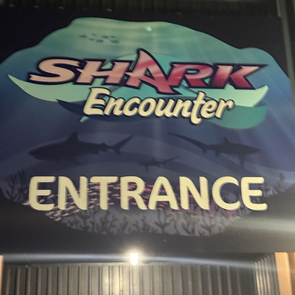 Shark Encounter - Aquariums Near Me - Orlando, Florida