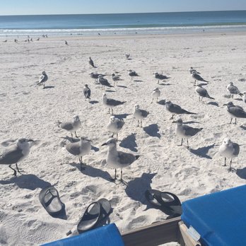 North Redington Beach - Beaches Near Me - North Redington Bch, Florida North Redington Beach - Beaches Near Me - North Redington Bch, Florida
