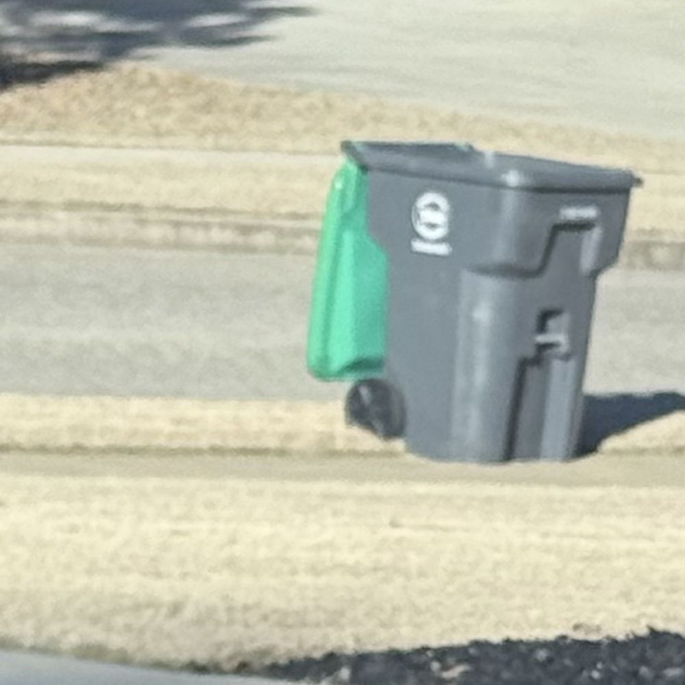 Trash Away Sanitation - Recently leaving trash can on grass - Junk Removal & Hauling Near Me - Hampton, Georgia