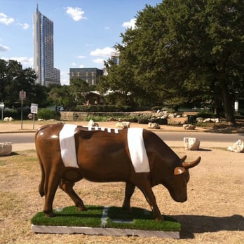 Texas Custom Turf - Artificial Turf Near Me - Bertram, Texas