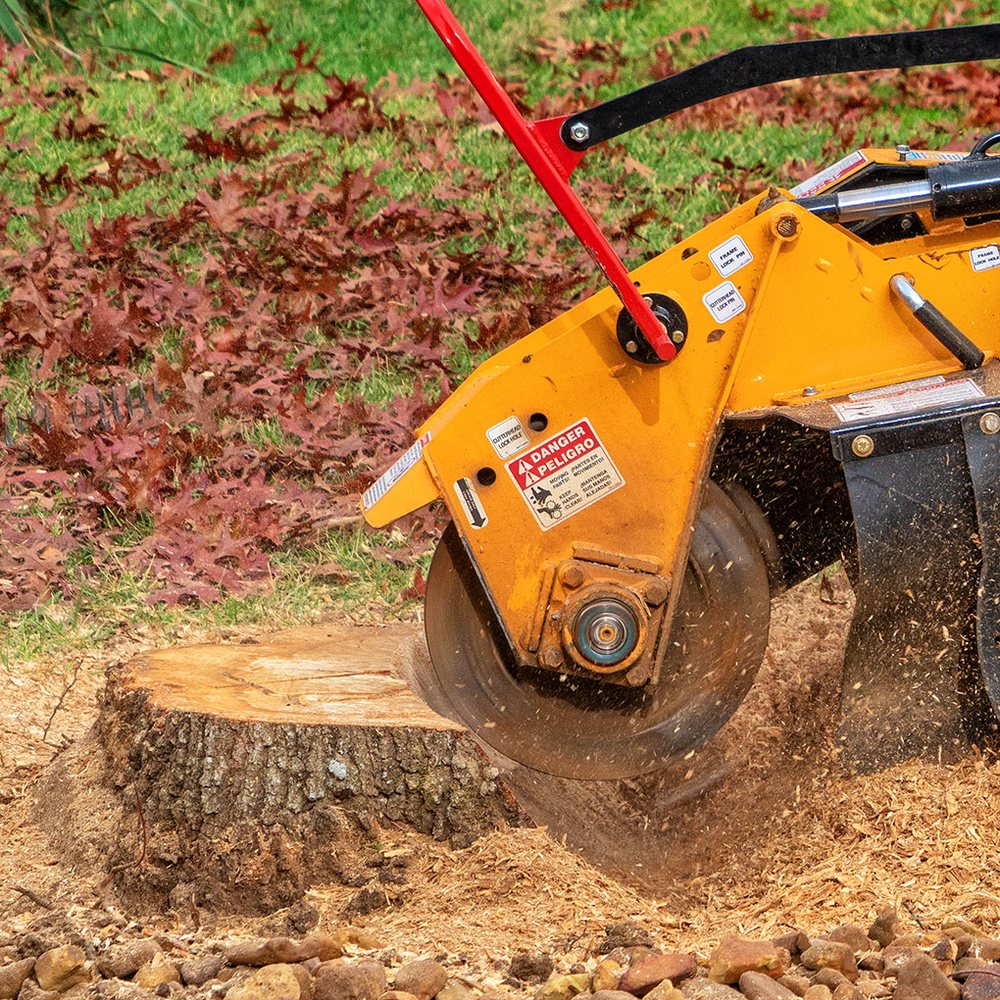 Wild Bill's Stump Grinding - tree service in West Springfield, MA